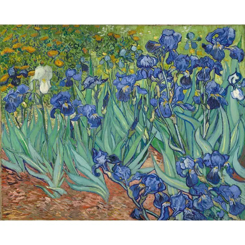 Puzzle Van Gogh – Paysage Artistique – 1000 Pièces