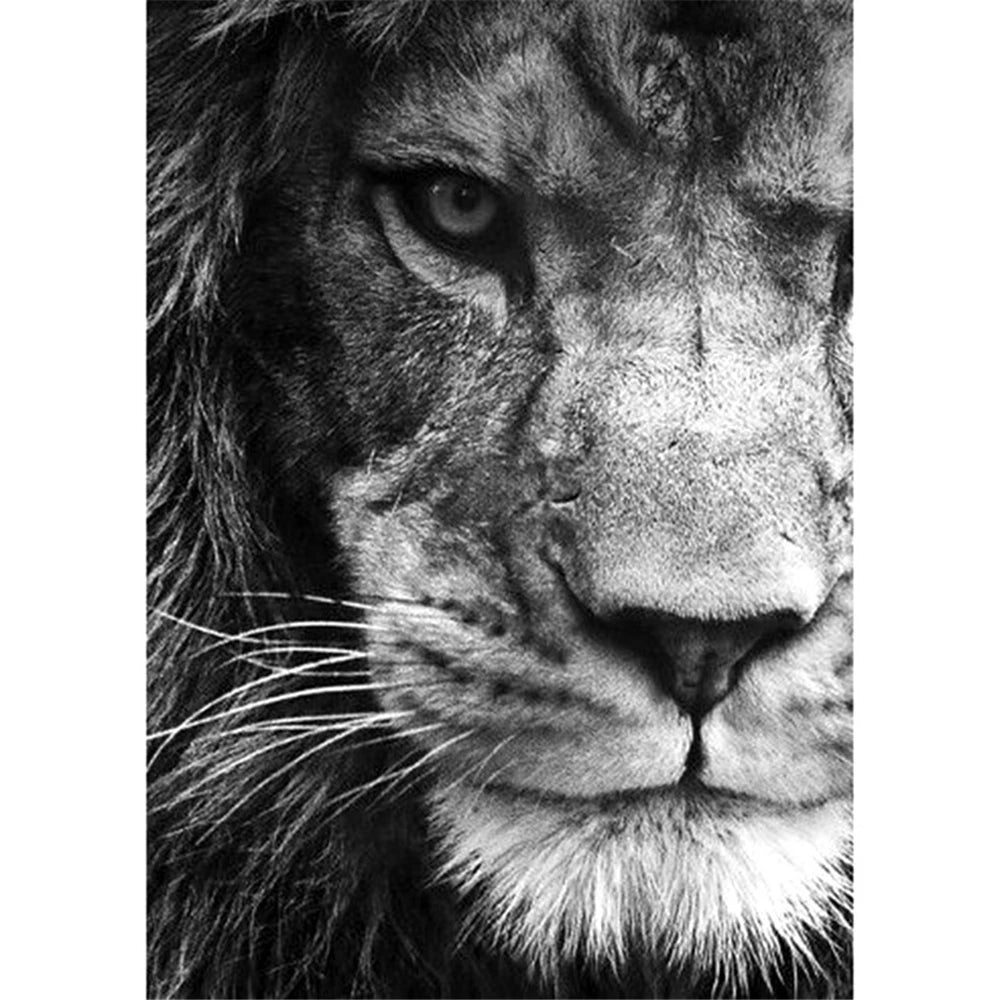 Puzzle Lion Majestueux – 500 à 2000 pièces | Puzzle adulte